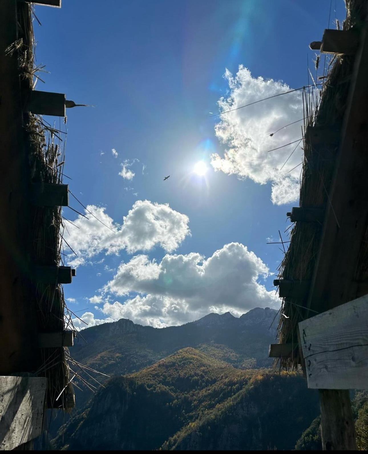 Eco Lodge Eagle'S Nest Savnik Exterior photo