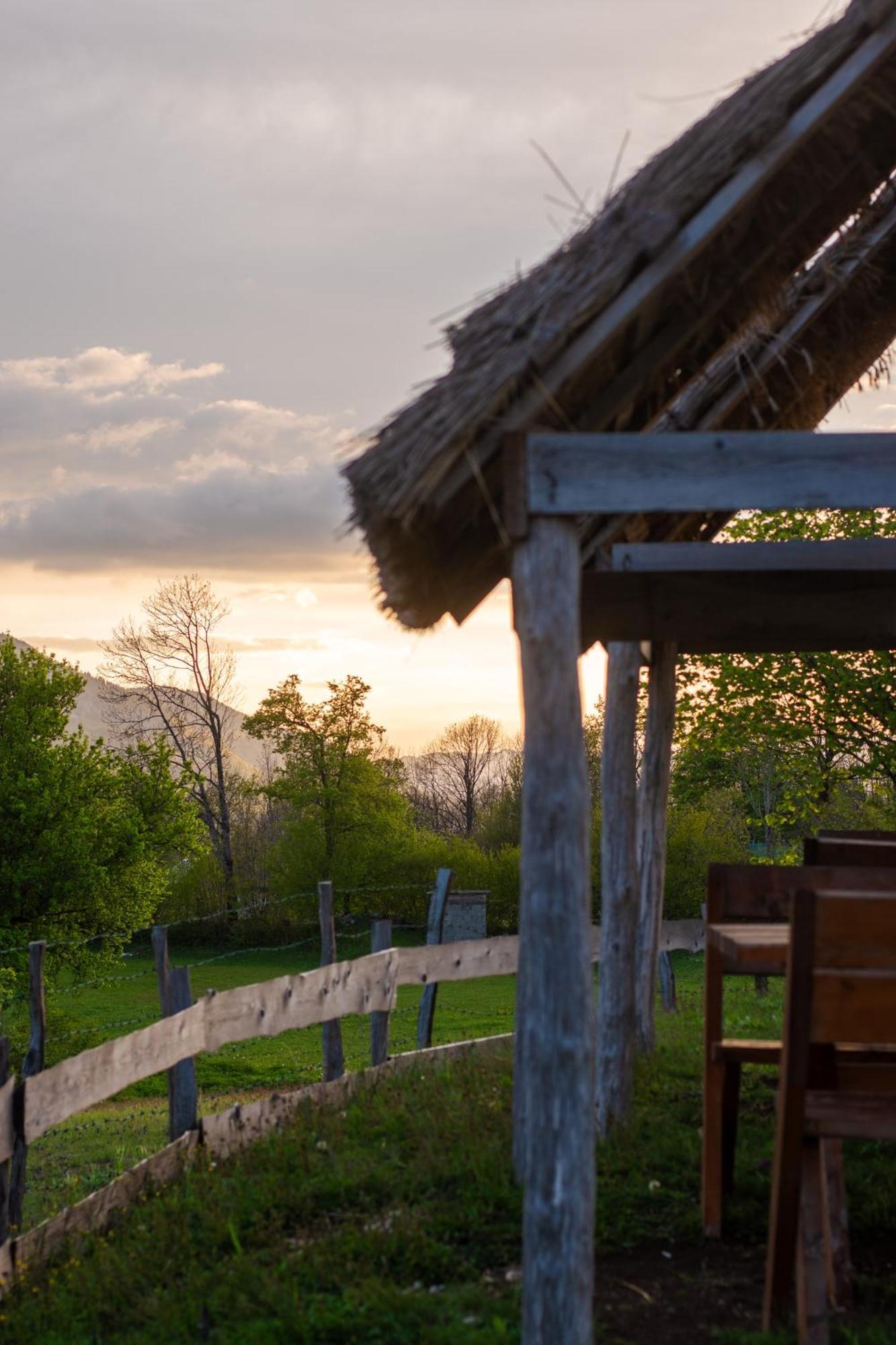 Eco Lodge Eagle'S Nest Savnik Exterior photo